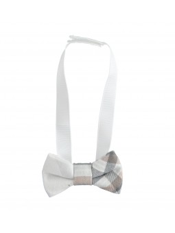 Papillon Minibanda in...