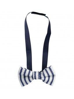 Elegante papillon Sarabanda...