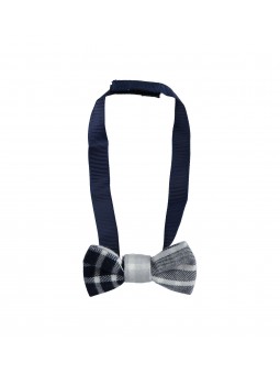 Papillon Minibanda in tinto...