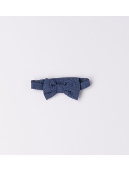 Papillon Sarabanda in...