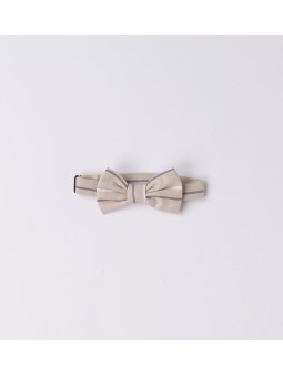 Papillon Sarabanda in...